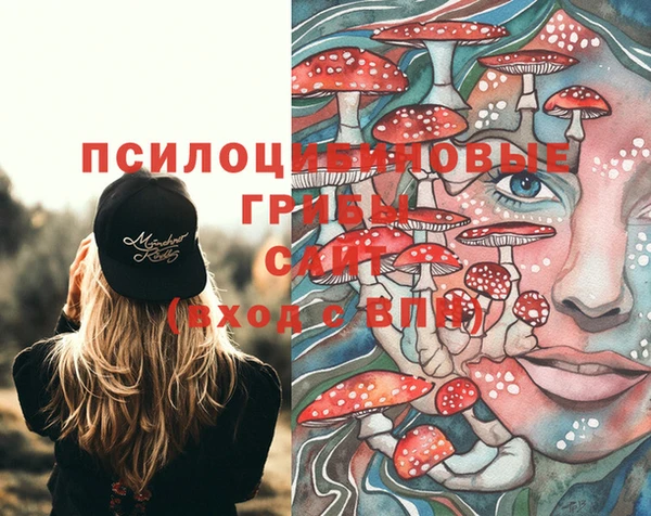 соль курить ск Богородск