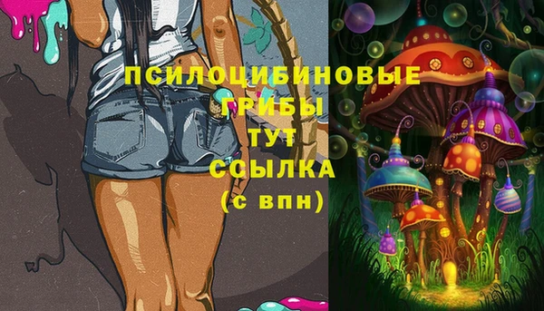 прущие крисы Богданович