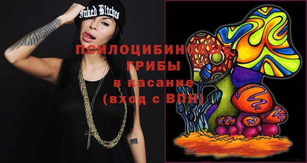 прущие крисы Богданович
